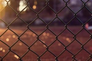 Read more about the article Things to Consider When Purchasing a Fence For Your Dog