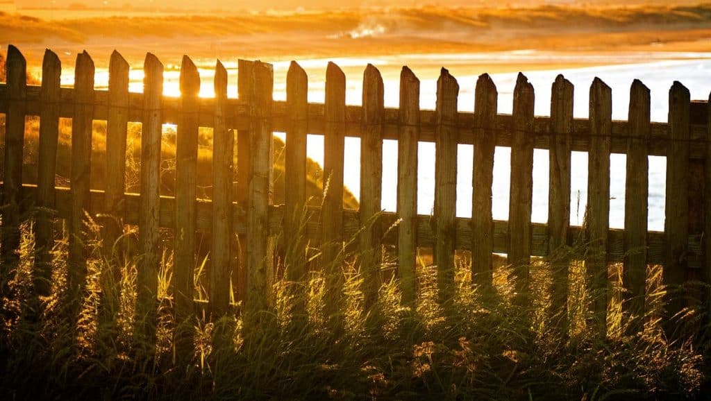 Read more about the article 4 Things to Consider When Choosing a Privacy Fence