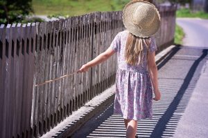 Read more about the article Amazing Fence Options for Your Private Yard
