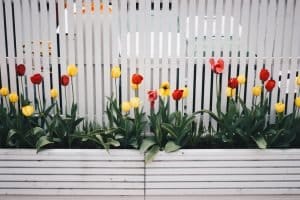Read more about the article Garden Fencing Ideas to Elevate Your Outdoor Space