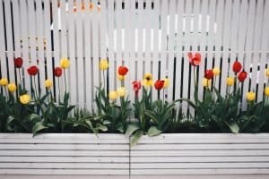 Read more about the article Tips to Maintain Your Wooden Fence in Winter