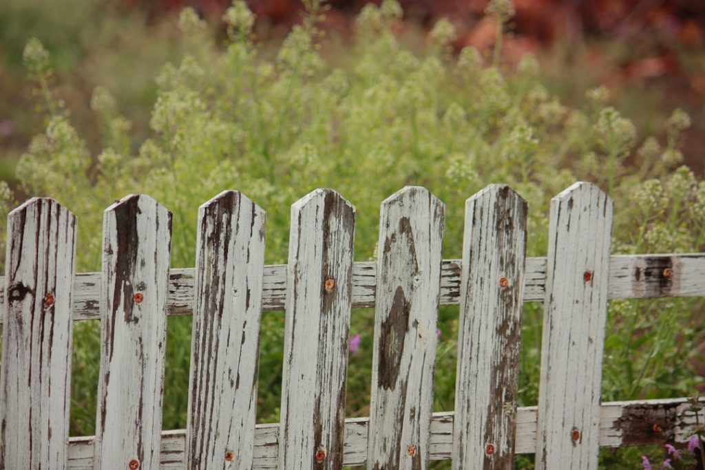 Read more about the article Top 10 Benefits of Installing a Wood Fence in Your Backyard