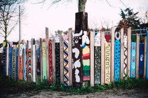 Read more about the article Choosing the Right Wood for Your Outdoor Fencing Needs