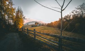 Read more about the article Creative Design Ideas for Wooden Fences in 2024